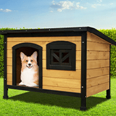 Pet Care