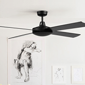 Ceiling Fans