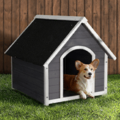 Pet Care