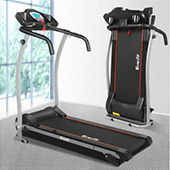Sports & Fitness