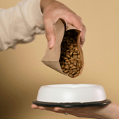Pet Food