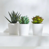 Artificial Potted Plants