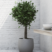Artificial Trees