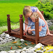Garden Ornaments