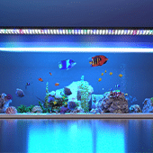 Aquarium Lighting