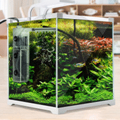 Aquariums