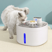 Cat Bowls, Feeders & Waterers