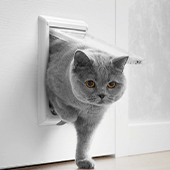 Cat & Dog Flaps