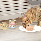 Cat Food