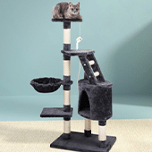 Cat Scratching Posts