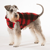 Dog Apparel