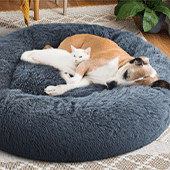 Dog Beds