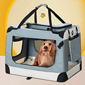 Dog Carriers & Crates