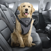 Dog Collars, Leads & Harnesses