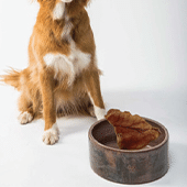 Dog Food