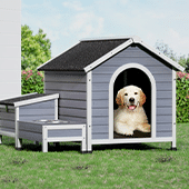 Dog Kennels