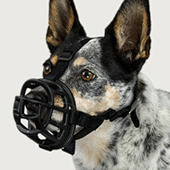 Dog Muzzles