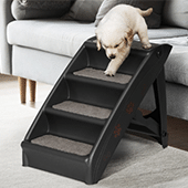 Dog Steps & Ramps