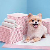 Dog Training Aids